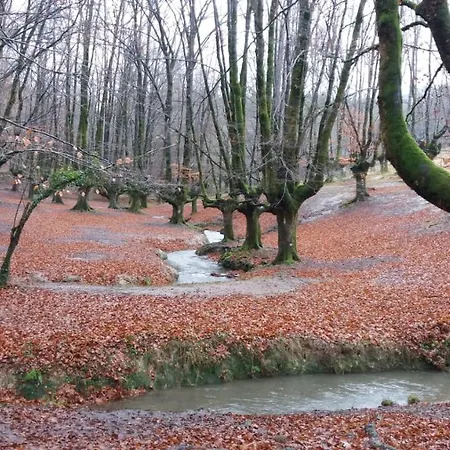 Errekaondo Areatza