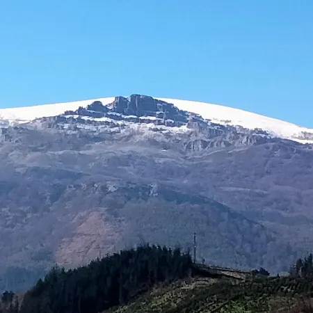 Errekaondo Daire Areatza